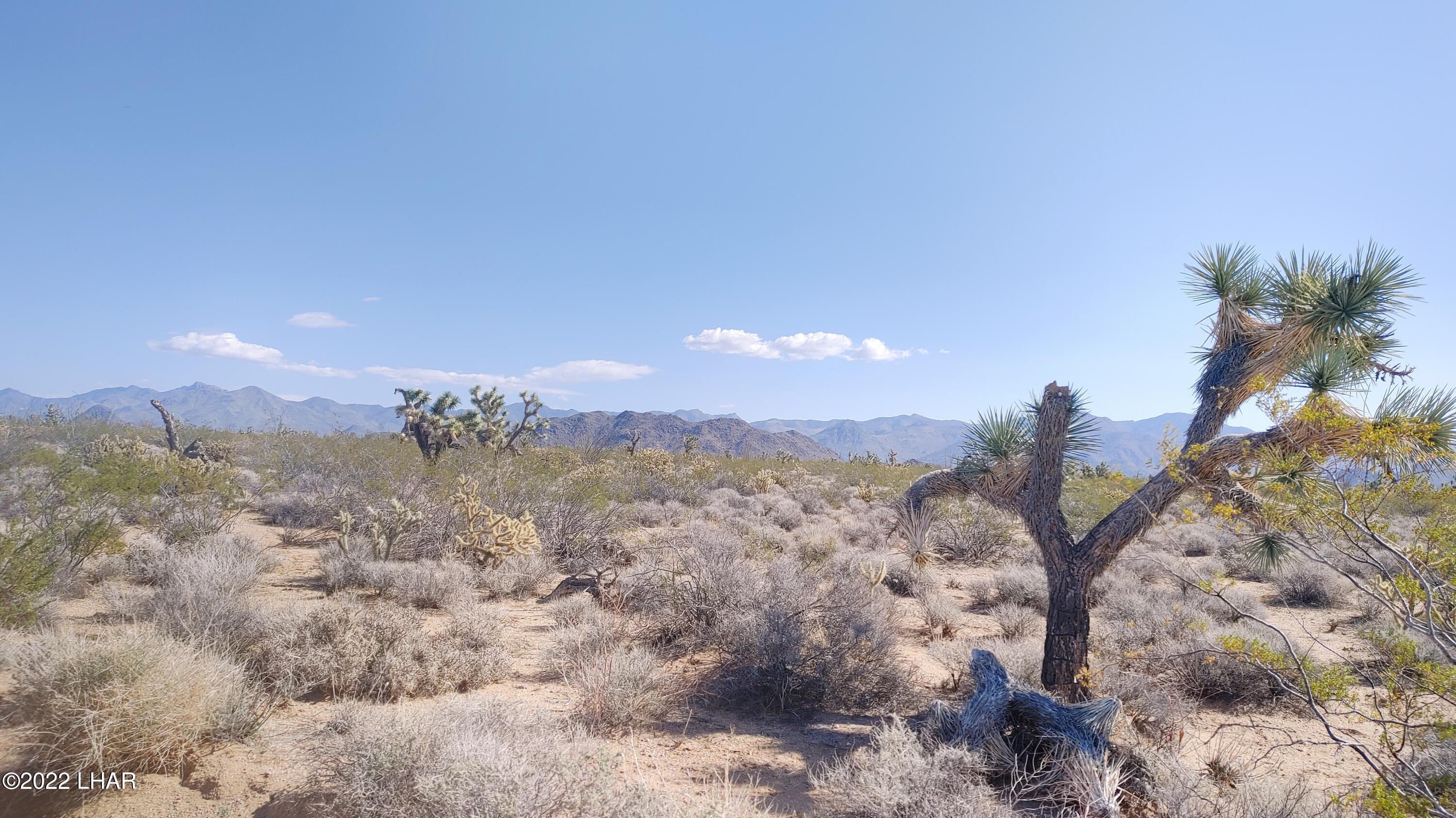 40 Acres