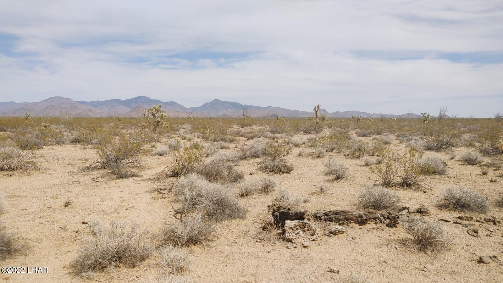 2848 South Roy Rogers Road Yucca, AZ 86438 - Photo 15 of 24 0403221312a