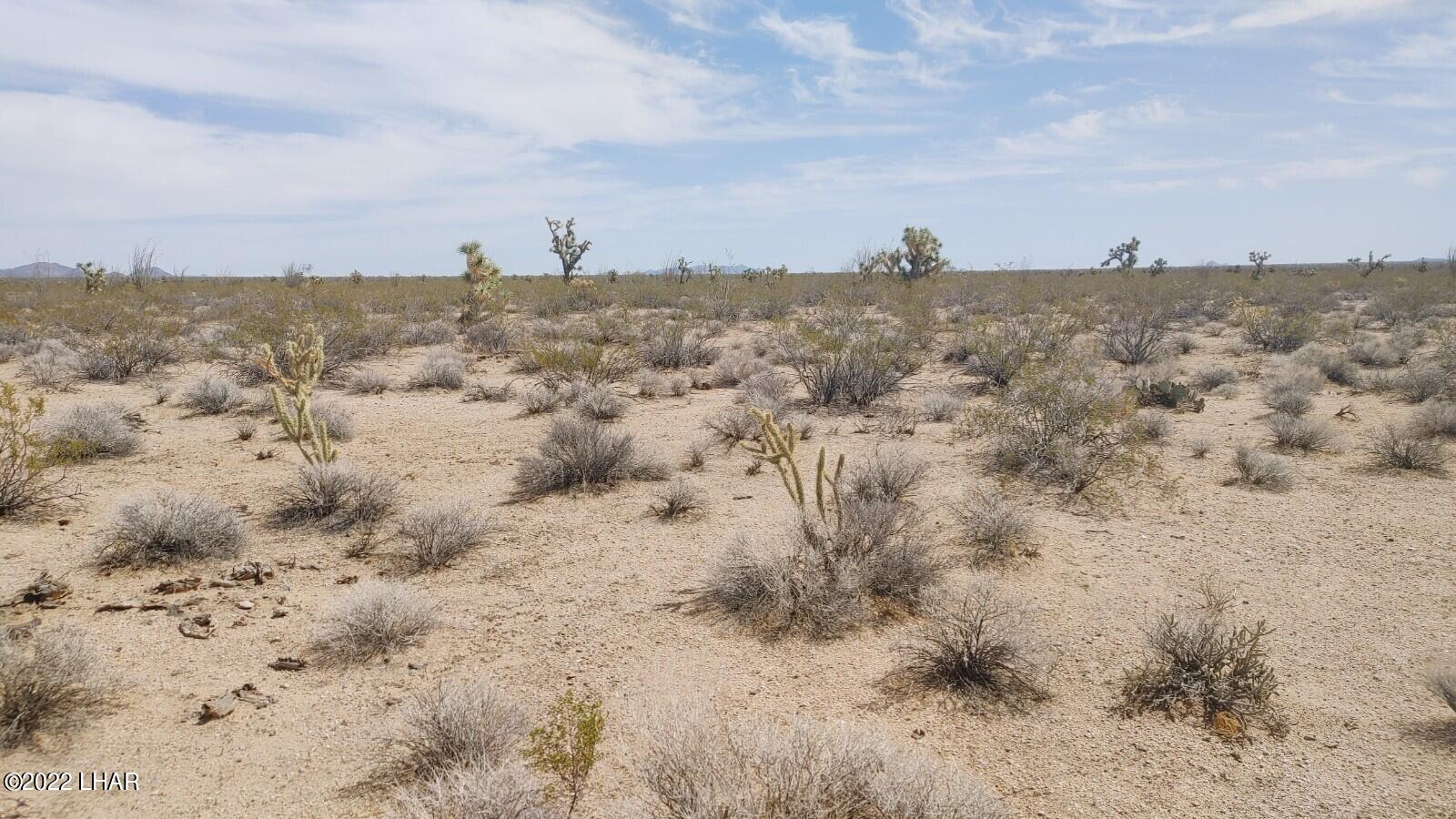 2848 South Roy Rogers Road Yucca, AZ 86438 - Photo 17 of 24 0403221312c
