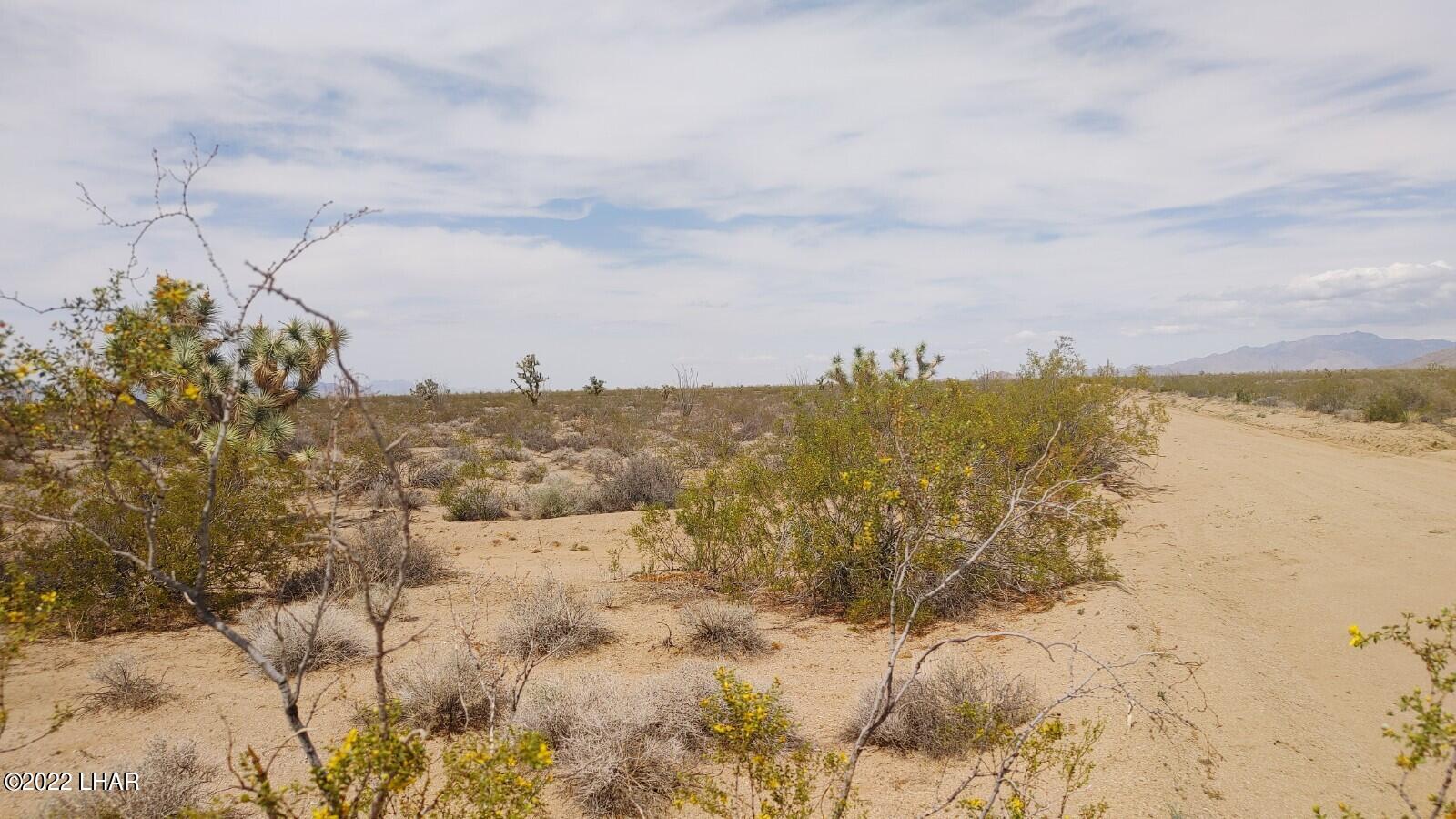2848 South Roy Rogers Road Yucca, AZ 86438 - Photo 18 of 24 0403221313b