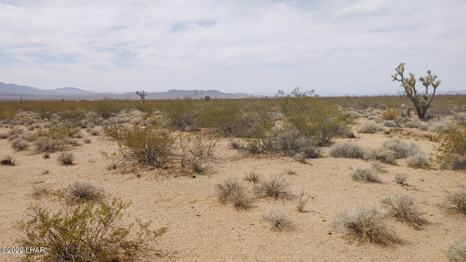2848 South Roy Rogers Road Yucca, AZ 86438 - Photo 20 of 24 0403221313a