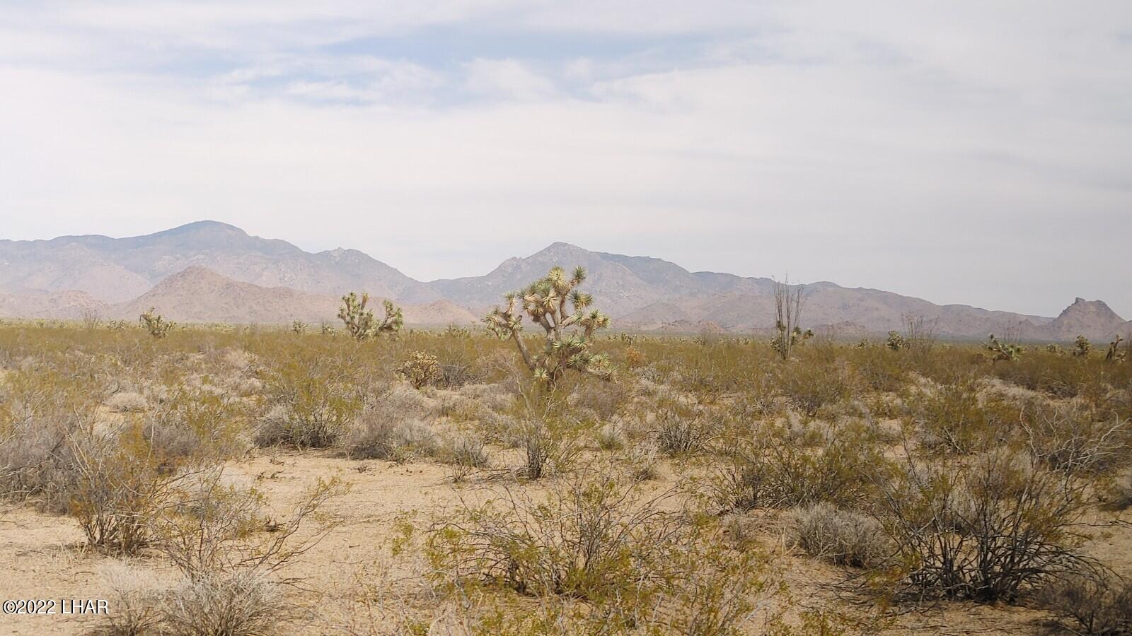 2848 South Roy Rogers Road Yucca, AZ 86438 - Photo 2 of 24 40-Acres * Level * Affordable