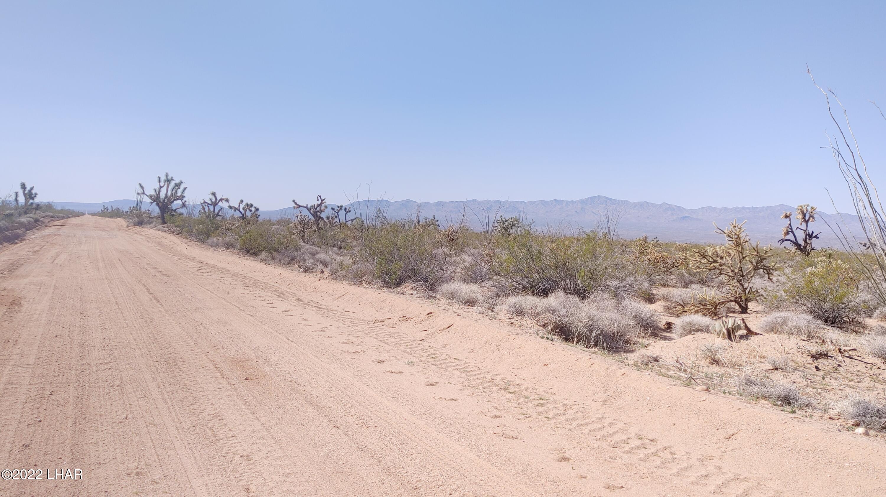 2848 South Roy Rogers Road Yucca, AZ 86438 - Photo 24 of 24 0316221017a