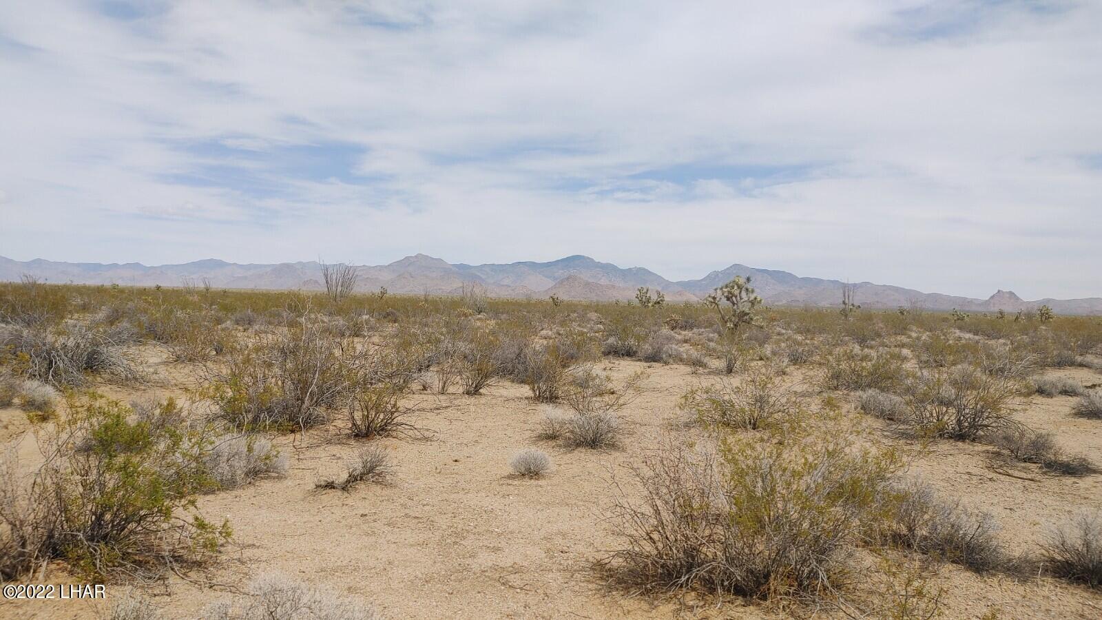 2848 South Roy Rogers Road Yucca, AZ 86438 - Photo 3 of 24 0403221314