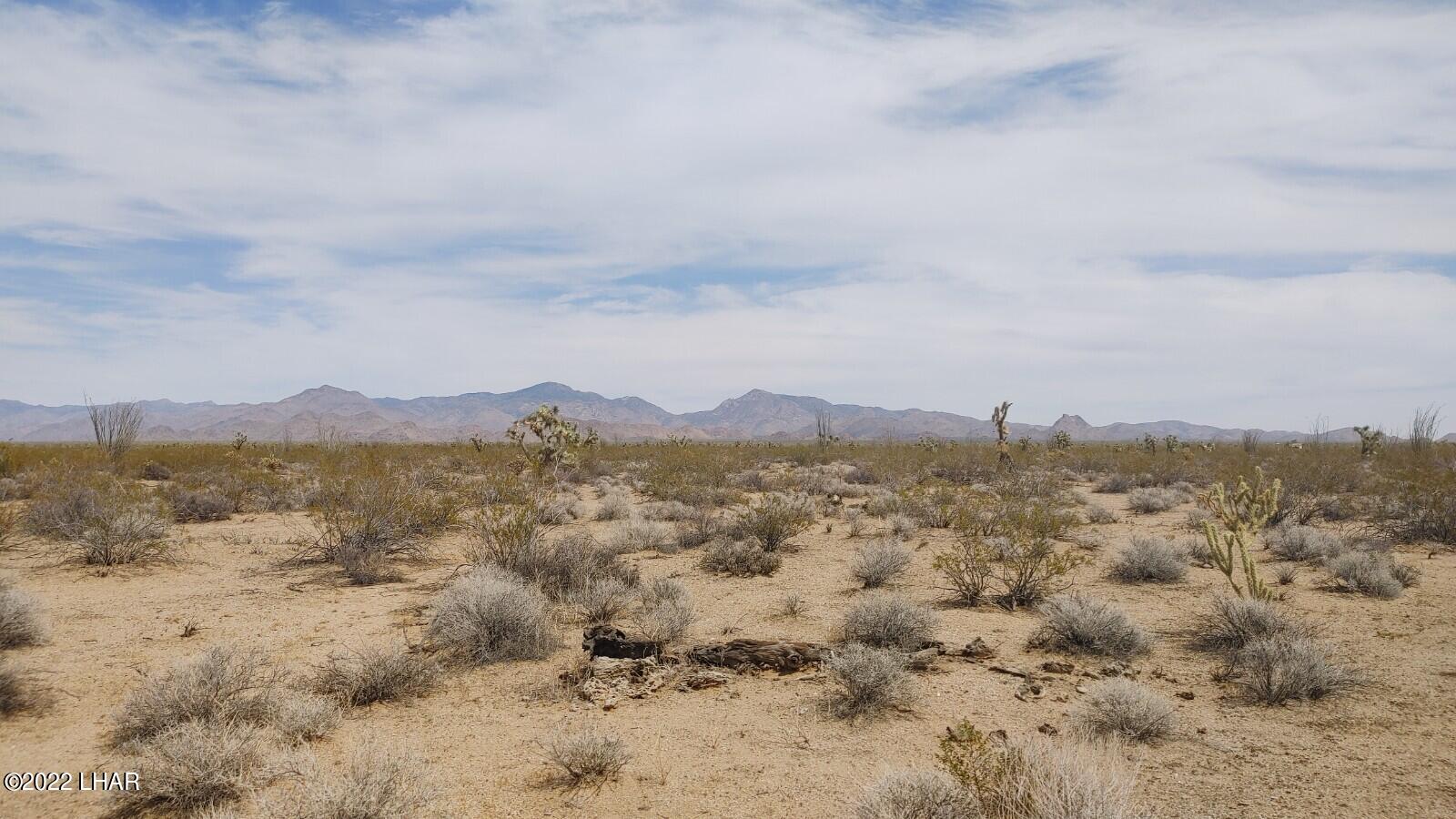 2848 South Roy Rogers Road Yucca, AZ 86438 - Photo 4 of 24 0403221314c