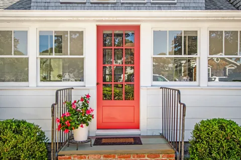 a potted plant sitting in front of a house
