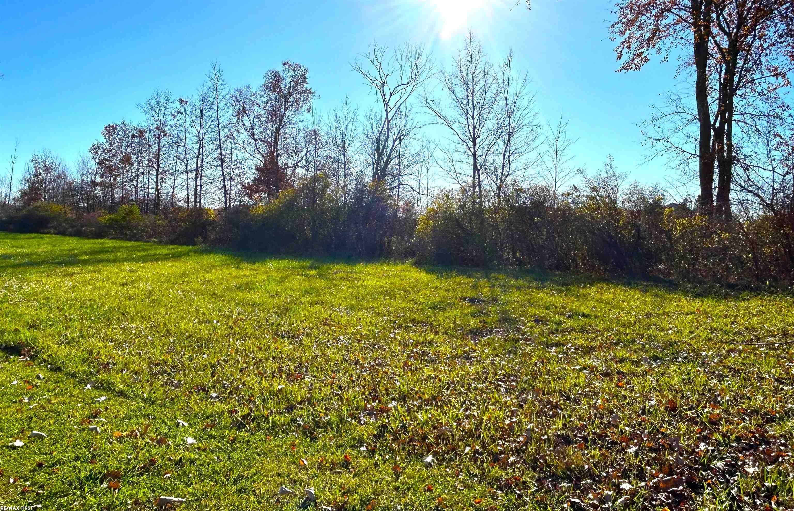 0 Omo Road New Haven, MI 48048 - Photo 4 of 6