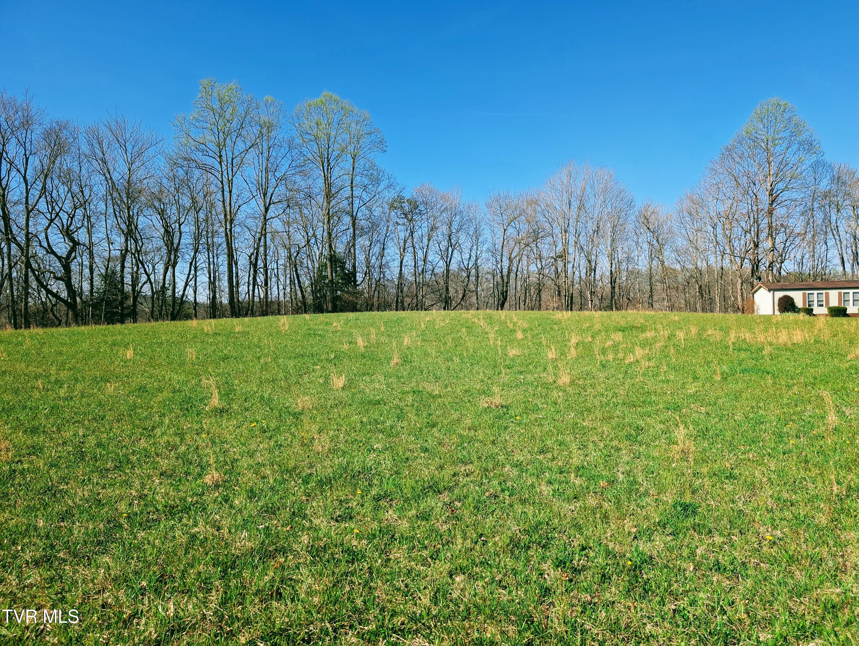 3645 DC Caney Ridge Road Clintwood, VA 24228 - Photo 13 of 54 1000020766