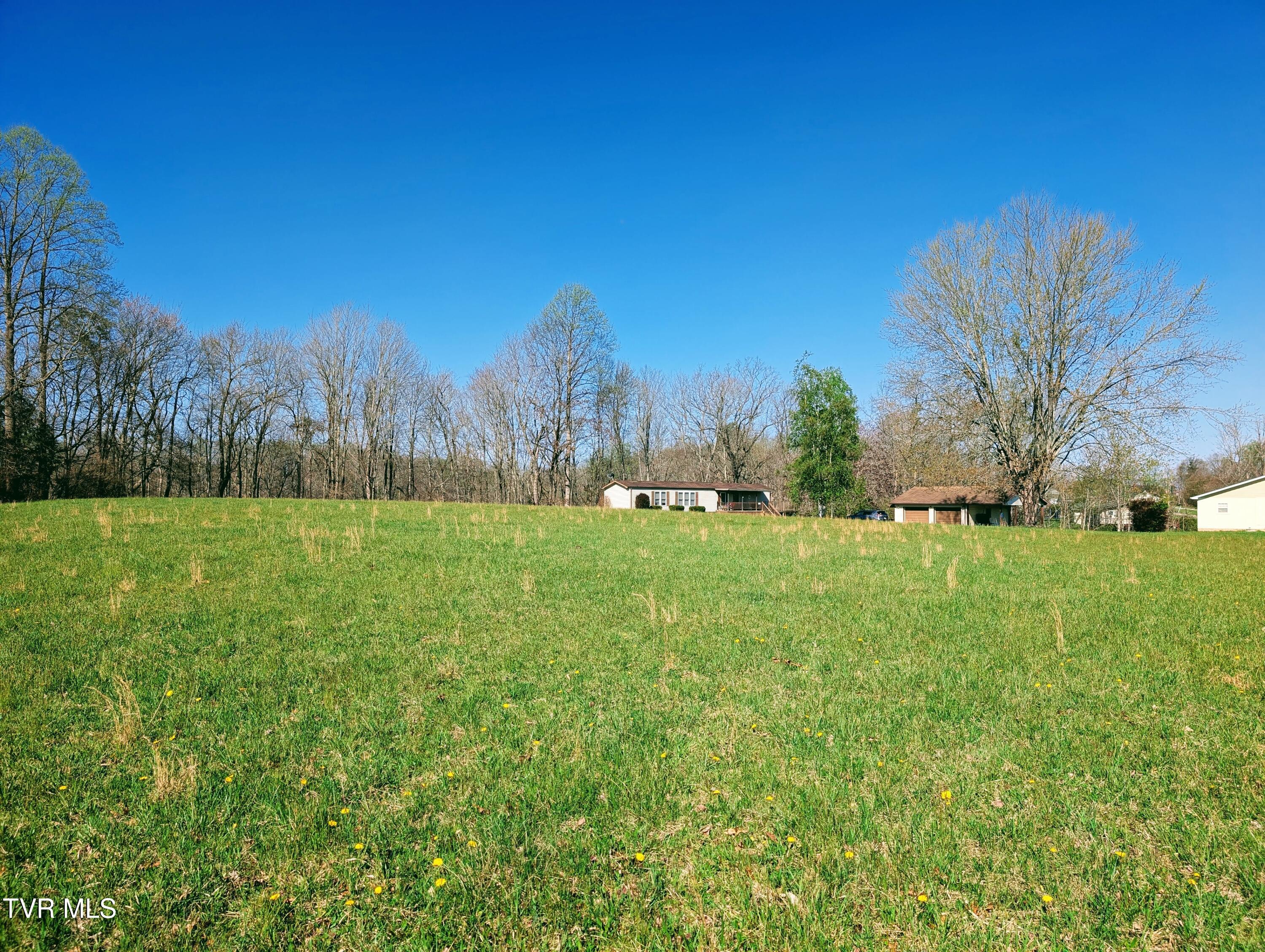 3645 DC Caney Ridge Road Clintwood, VA 24228 - Photo 10 of 54 1000020765
