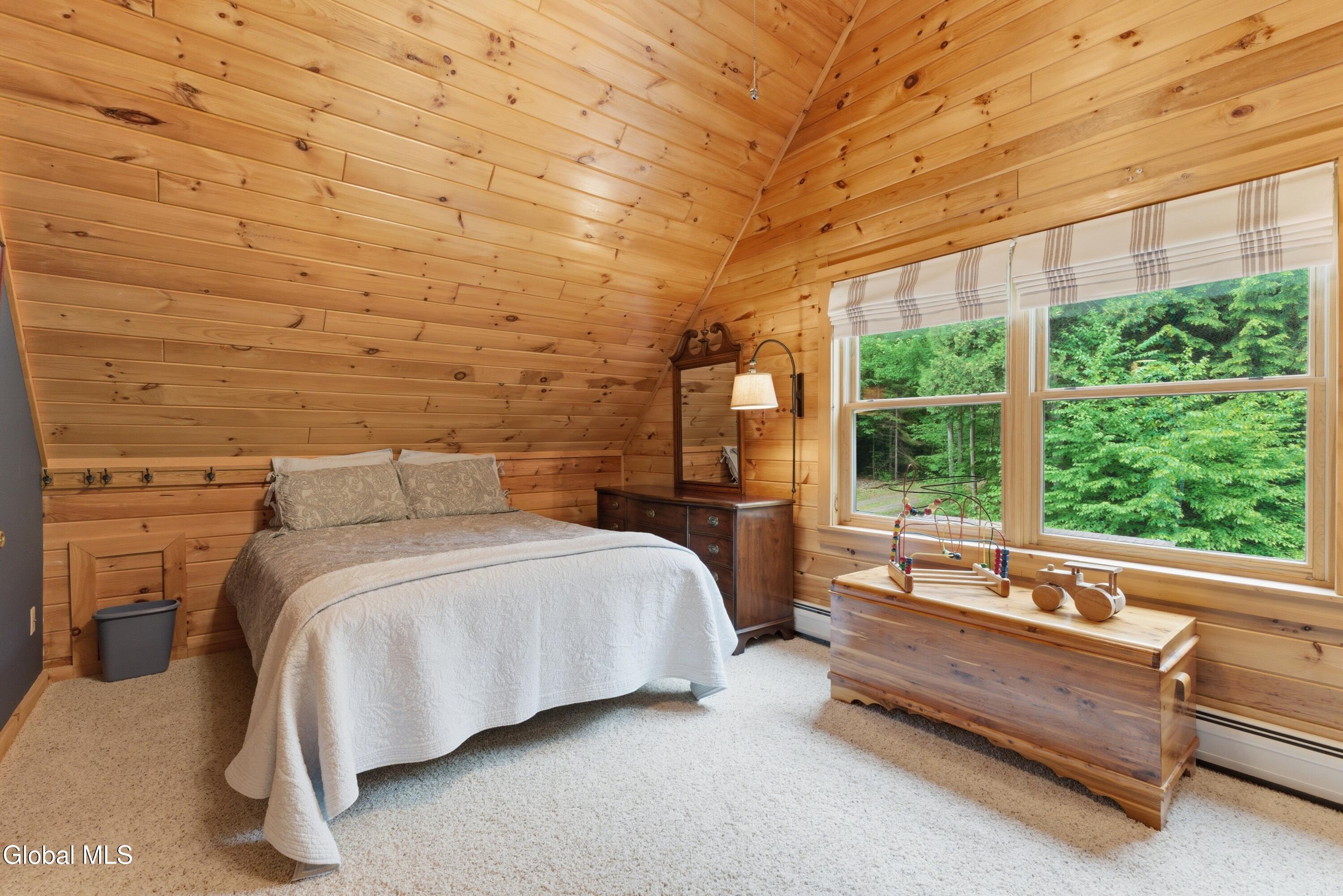 2982 Schroon River Road Chester, NY 12885 - Photo 37 of 69 DOD04400