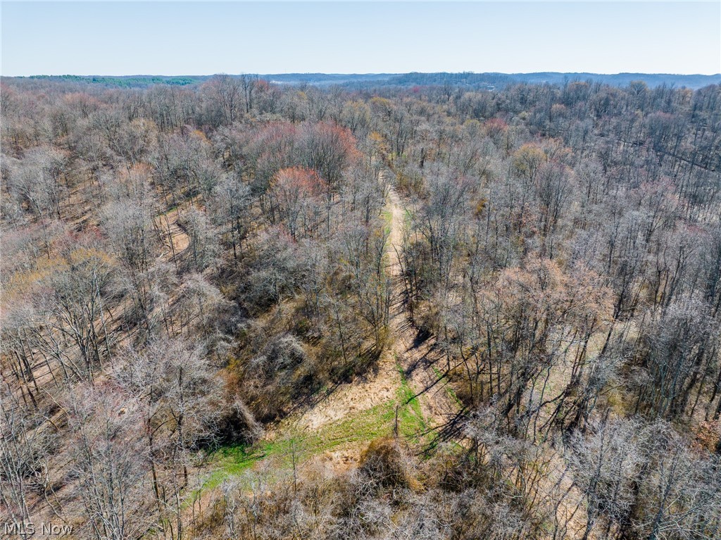 Sheepskin Ridge Road Lower Salem, OH 45745 - Photo 39 of 50 Bird's eye view of a forest