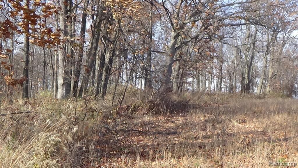 20-acres Meadowlawn Road Fowlerville, MI 48836 - Photo 4 of 9