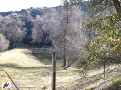 0 Millwood Road Dunlap, CA 93621 - Photo 2 of 2 View from entrance