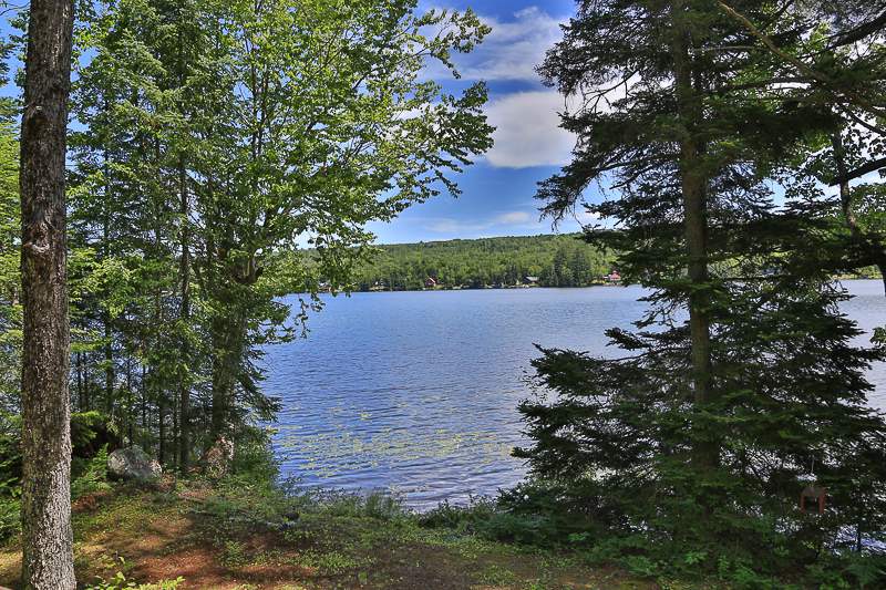 105 West Side Road Lunenburg, VT 05906 - Photo 5 of 30
