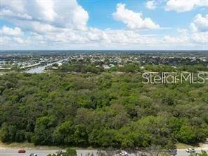 a view of a city with lush green forest