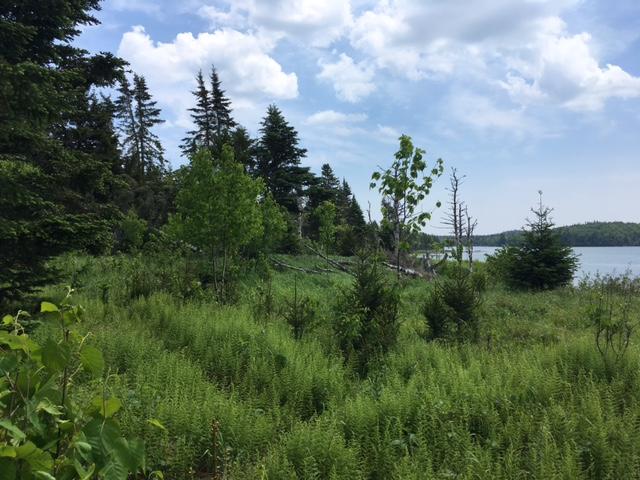 1 Collins Cove Road Machiasport, ME 04655 - Photo 7 of 16 #1 Tiers