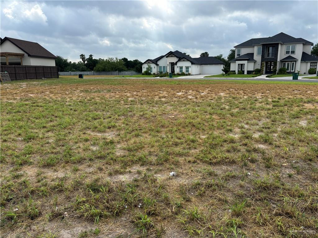 1209 Raptor Street Mission, TX 78572 - Photo 1 of 1 View of yard featuring fence