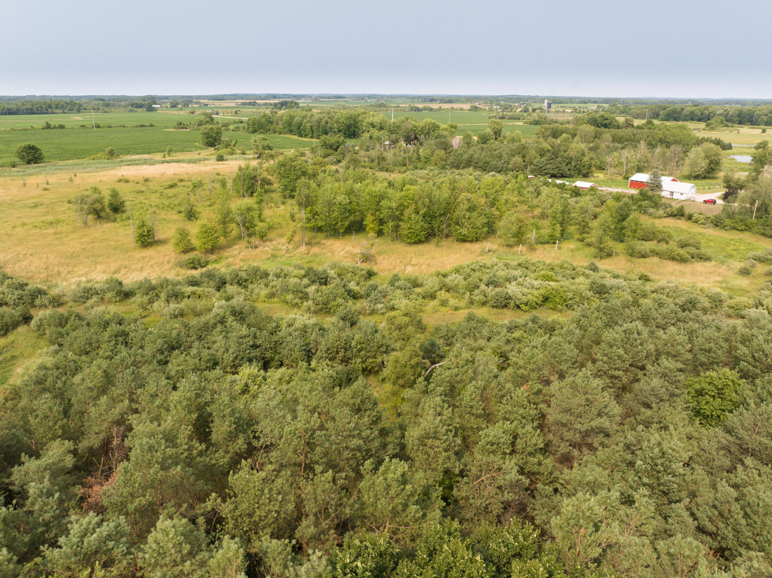 0 East Johnson Road Scottville, MI 49454 - Photo 6 of 14 DJI_20230731163707_0130_D