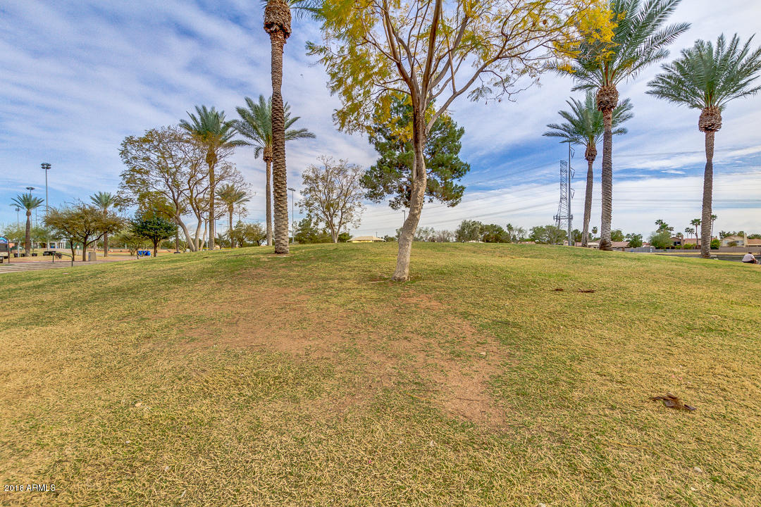 232 North Riata Street Gilbert, AZ 85234 - Photo 44 of 46 44-Riata