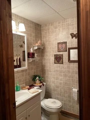 a bathroom with a toilet a sink a mirror and shower