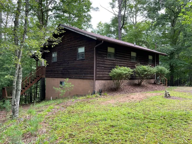 a backyard of a house with plants and large tree