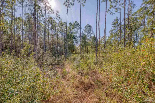 $58,900 | 1 Petersen Point Road, Milton, FL 32583