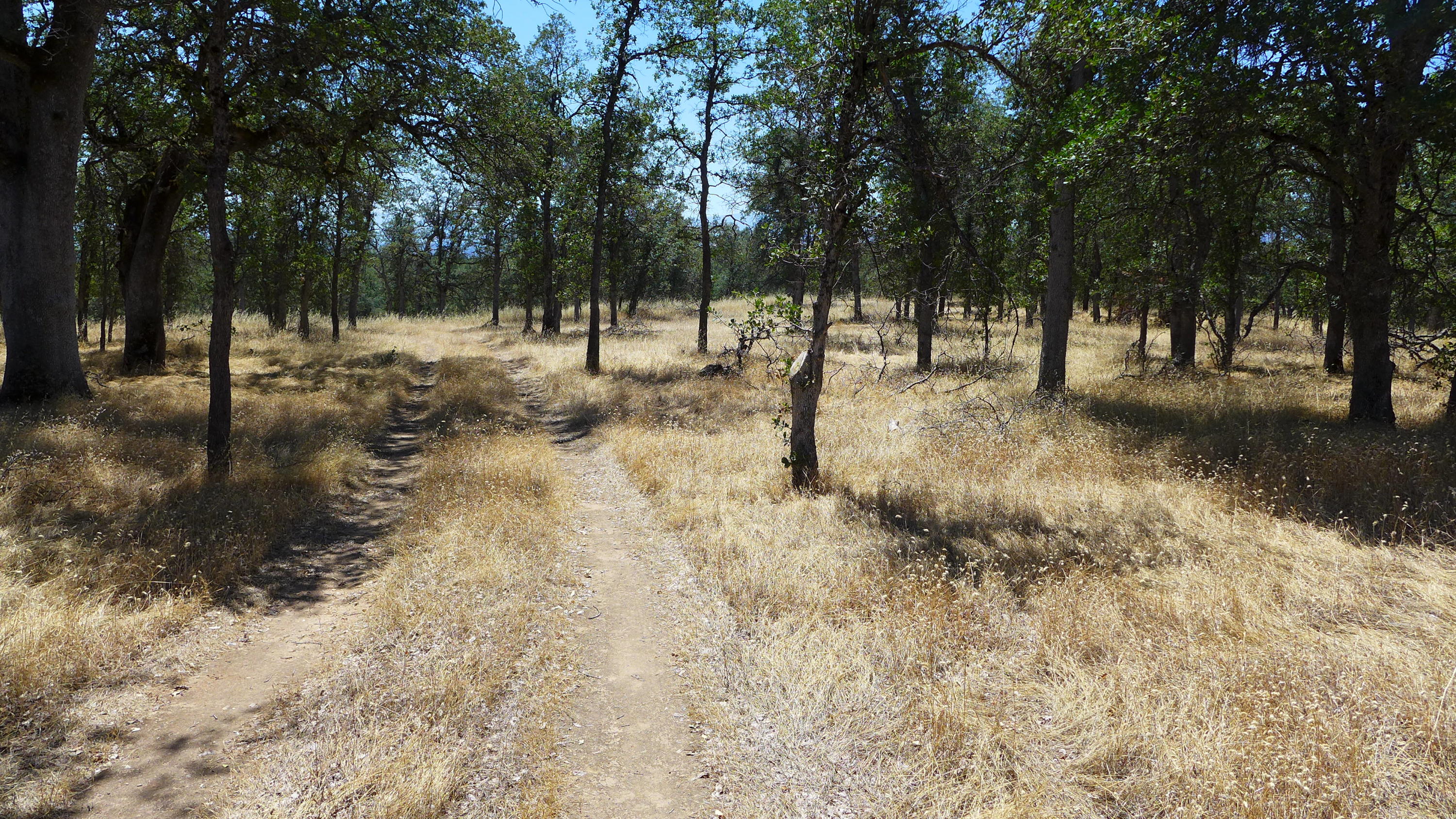 10-ac Sunpoint Road Igo, CA 96047 - Photo 4 of 8 P1050844