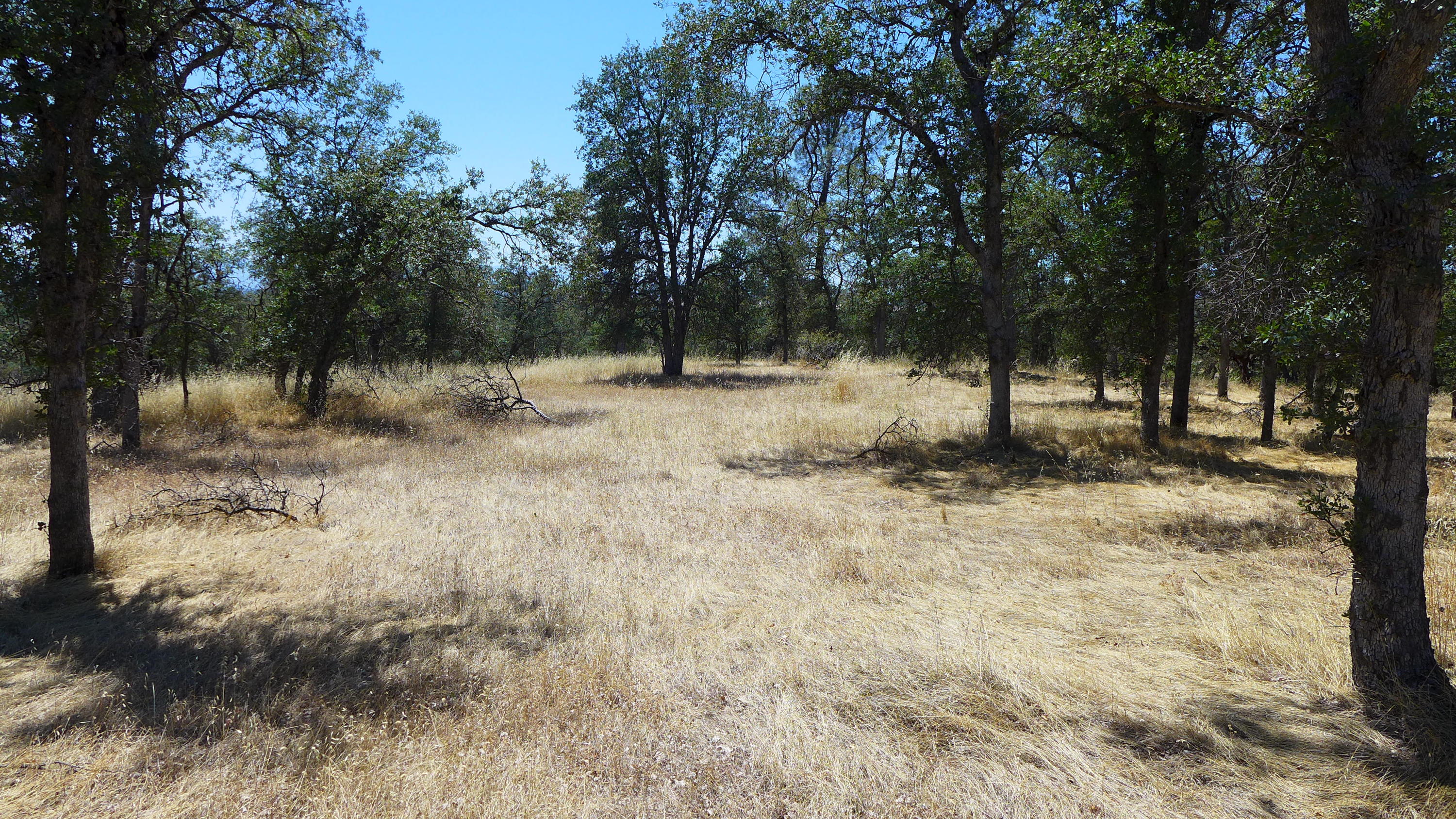 10-ac Sunpoint Road Igo, CA 96047 - Photo 5 of 8 P1050845