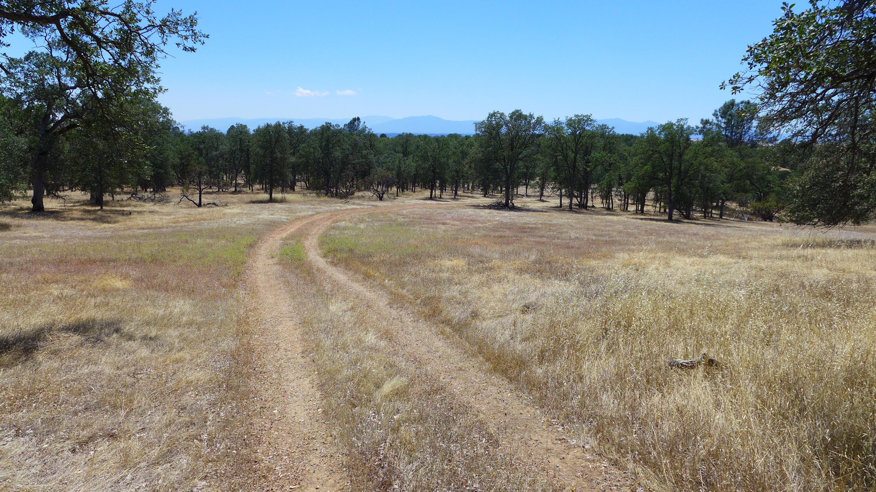 10-ac Sunpoint Road Igo, CA 96047 - Photo 6 of 8 P1050846