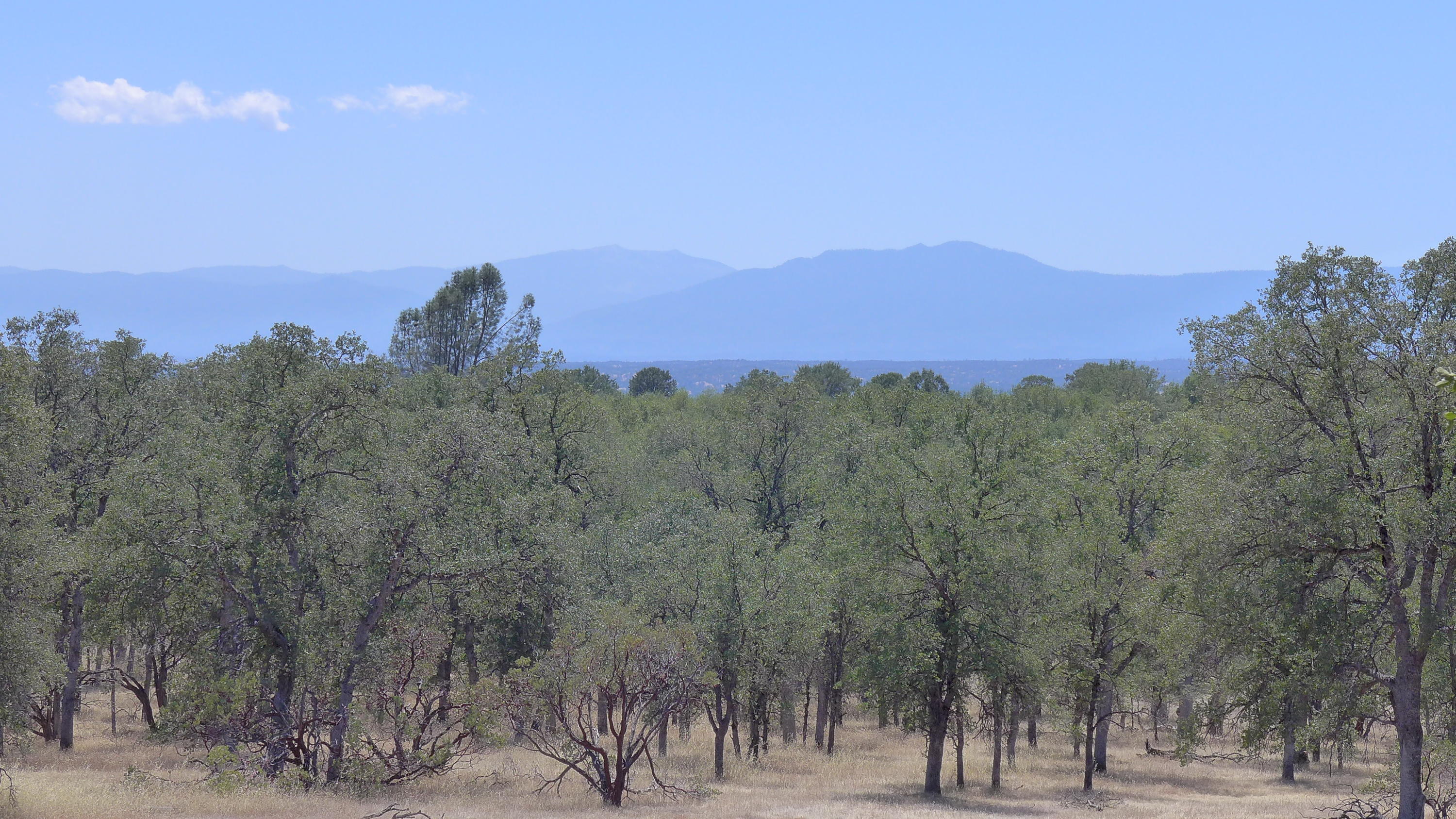 10-ac Sunpoint Road Igo, CA 96047 - Photo 7 of 8 P1050848