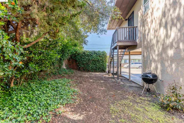 a view of a house with potted plants