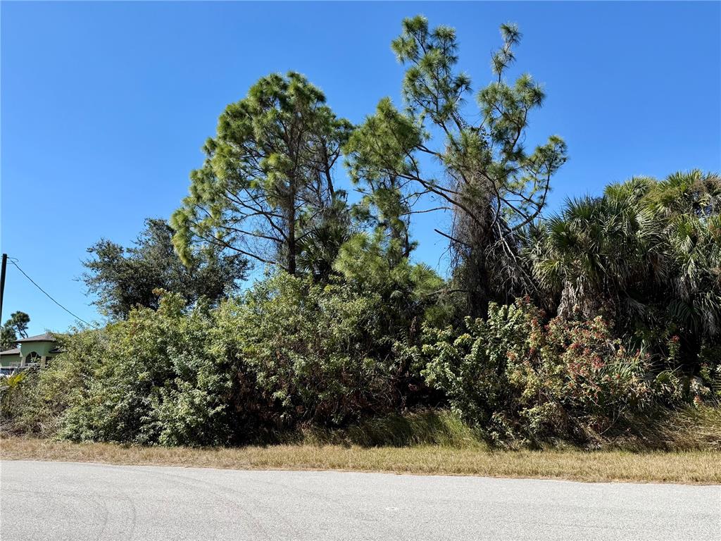 Baker Rd Port North Port, FL 34288 - Photo 2 of 3 Gallery Image 2