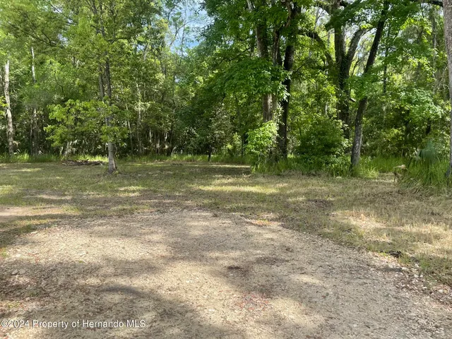 a view of outdoor space with trees all around