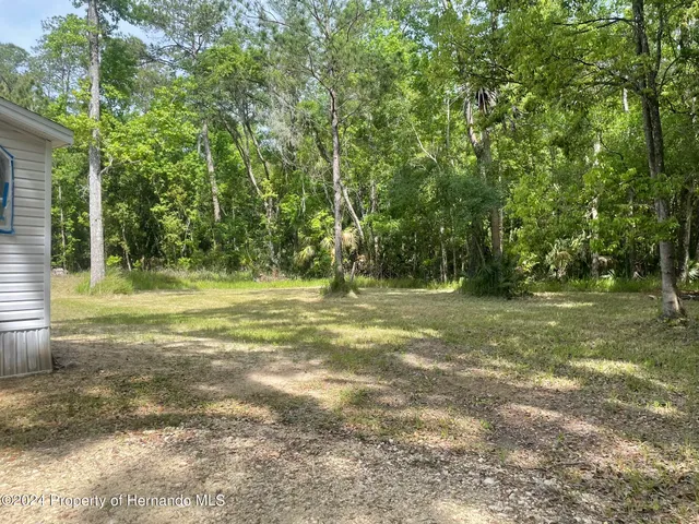 a view of outdoor space with trees all around