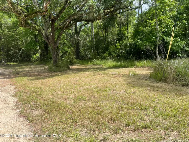a view of a yard with a trees