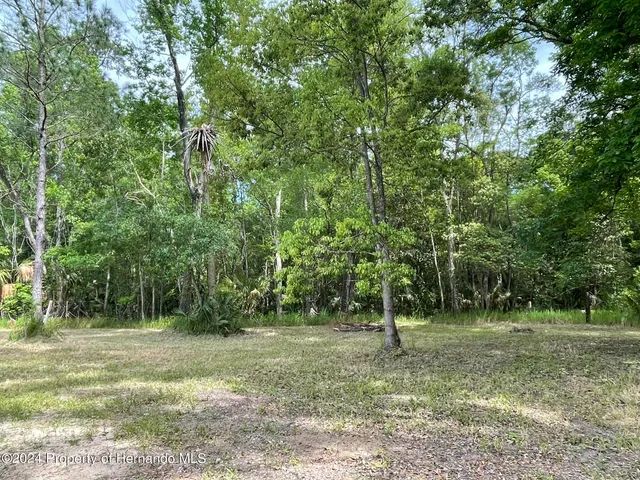 a view of a green field with lots of trees