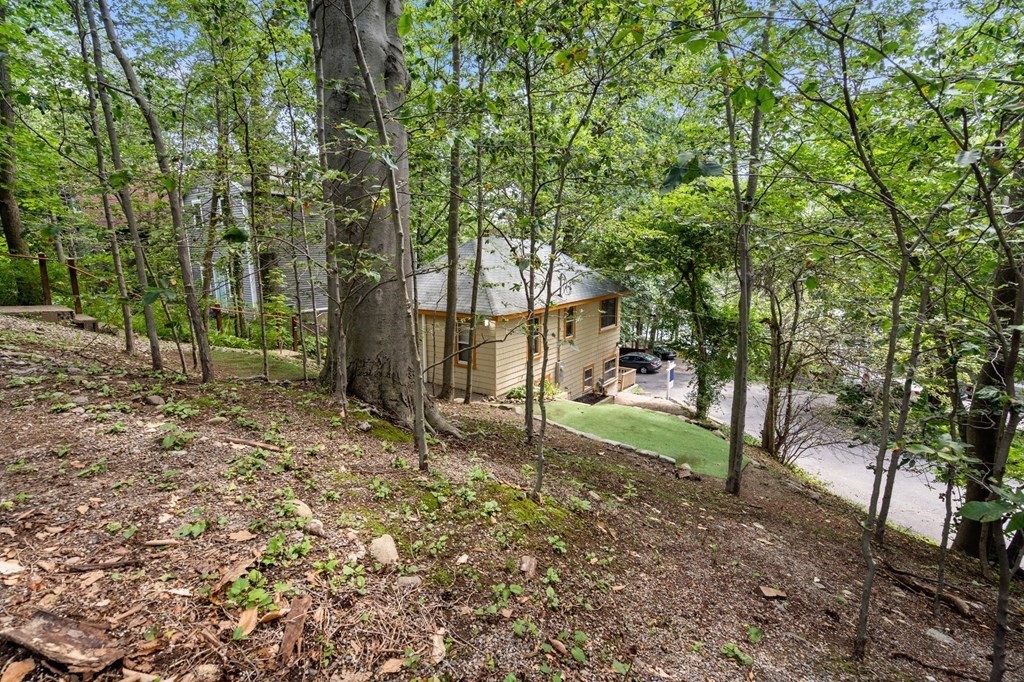 10 Beech Road Wayland, MA 01778 - Photo 29 of 42 a view of a house with a backyard