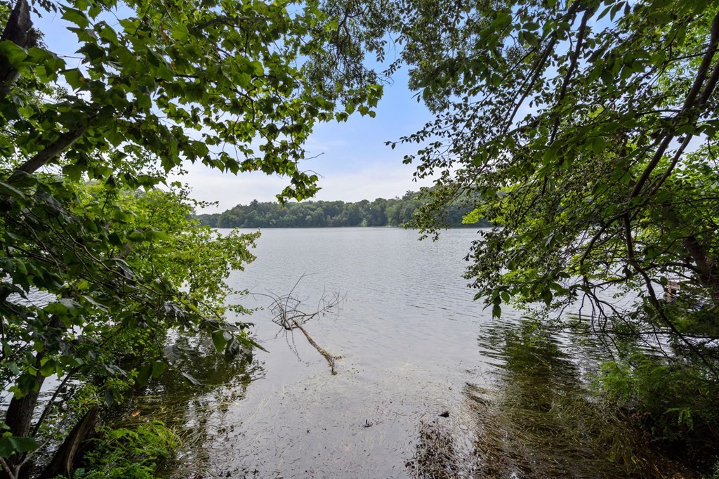 10 Beech Road Wayland, MA 01778 - Photo 34 of 42 a view of a lake in between the bunch of trees