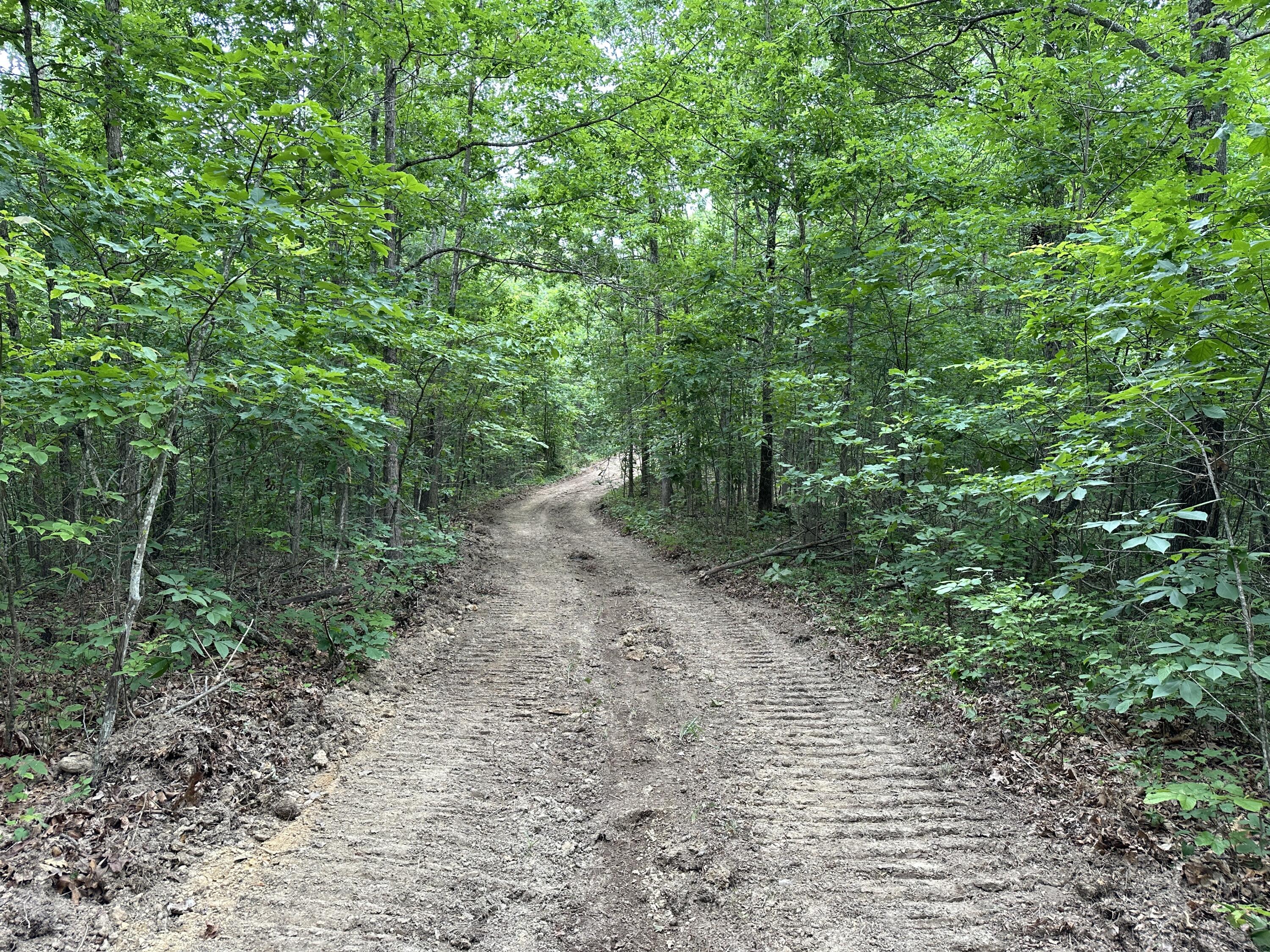 11 Williams Creek Road Rush, KY 41168 - Photo 13 of 42 11
