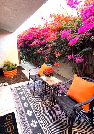 a view of a patio with table and chairs potted plants and palm tree