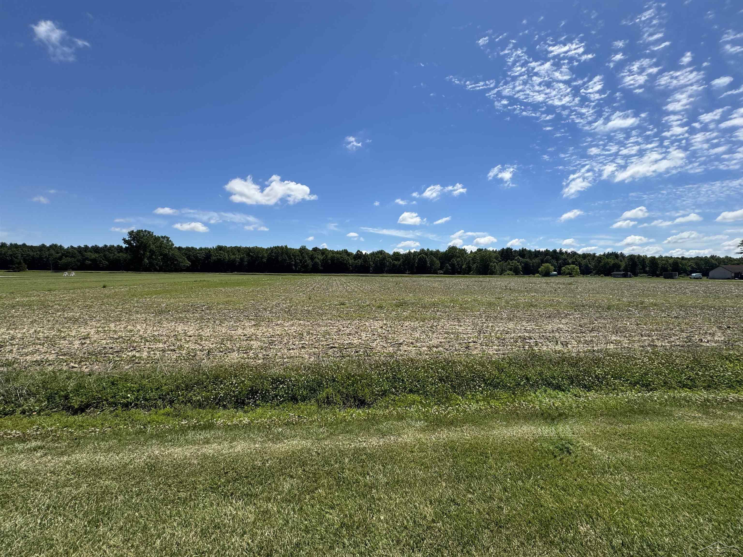 South Fenmore Road Merrill, MI 48637 - Photo 23 of 31
