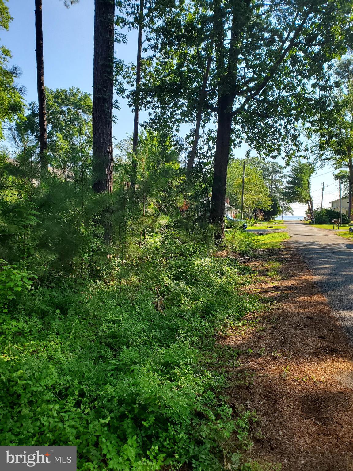 7 Locust Avenue Colonial Beach, VA 22443 - Photo 1 of 9 Lot 7 Locust Ave just a block from the Potomac Riv