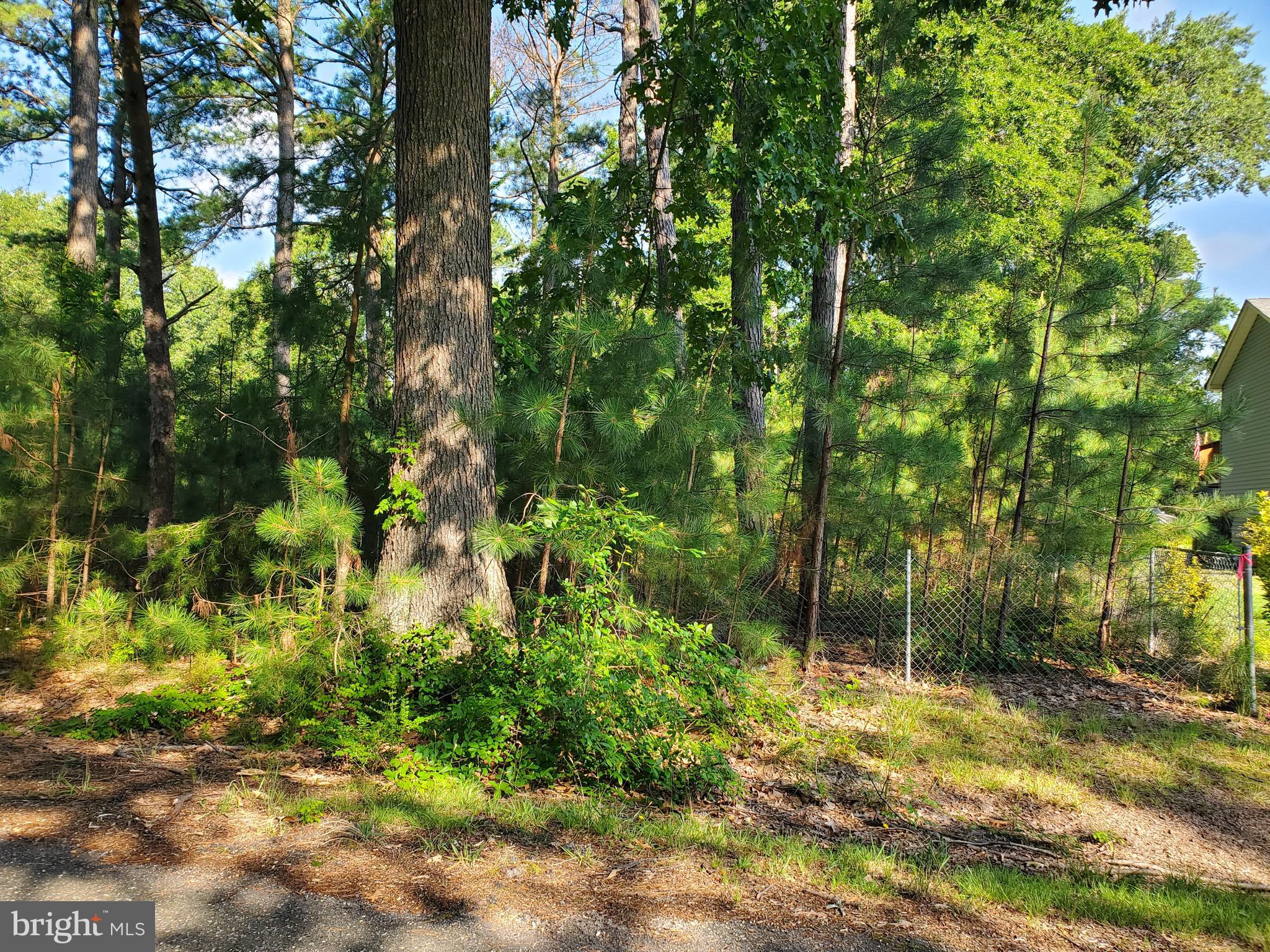 7 Locust Avenue Colonial Beach, VA 22443 - Photo 2 of 9 Lot 7 Locust