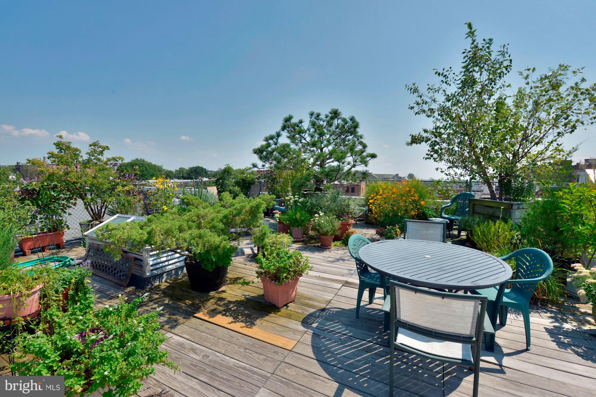 2707 Adams Mill Road Northwest, Unit A Washington, DC 20009 - Photo 29 of 37 Fabulous Roof Garden