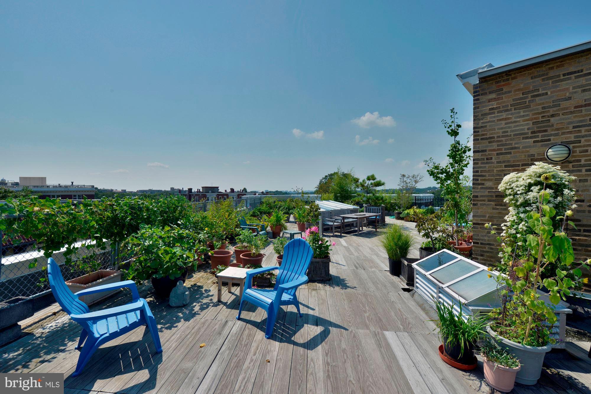 2707 Adams Mill Road Northwest, Unit A Washington, DC 20009 - Photo 30 of 37 Fabulous Roof Garden