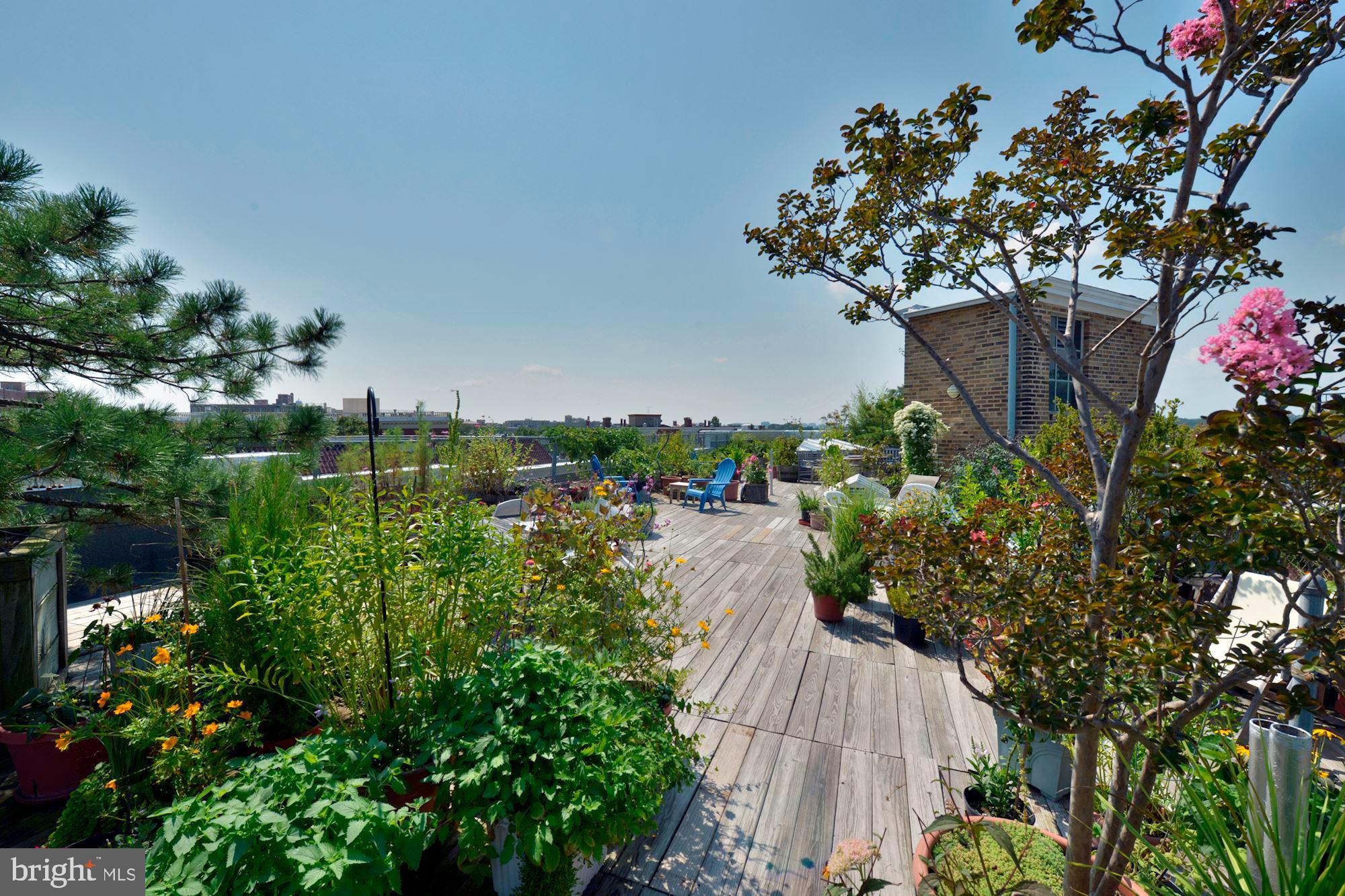 2707 Adams Mill Road Northwest, Unit A Washington, DC 20009 - Photo 31 of 37 Fabulous Roof Garden
