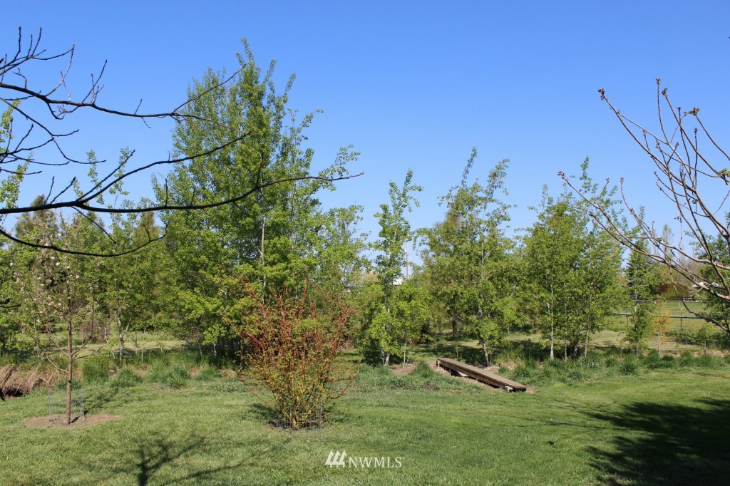 1761 Game Farm Road Ellensburg, WA 98926 - Photo 19 of 24 Gallery Image 19