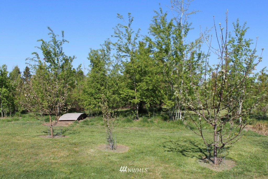 1761 Game Farm Road Ellensburg, WA 98926 - Photo 21 of 24 Gallery Image 21
