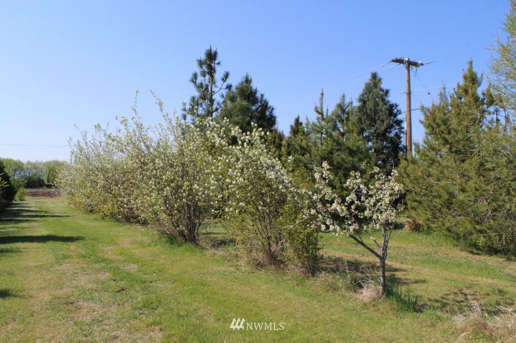 1761 Game Farm Road Ellensburg, WA 98926 - Photo 23 of 24 Gallery Image 23