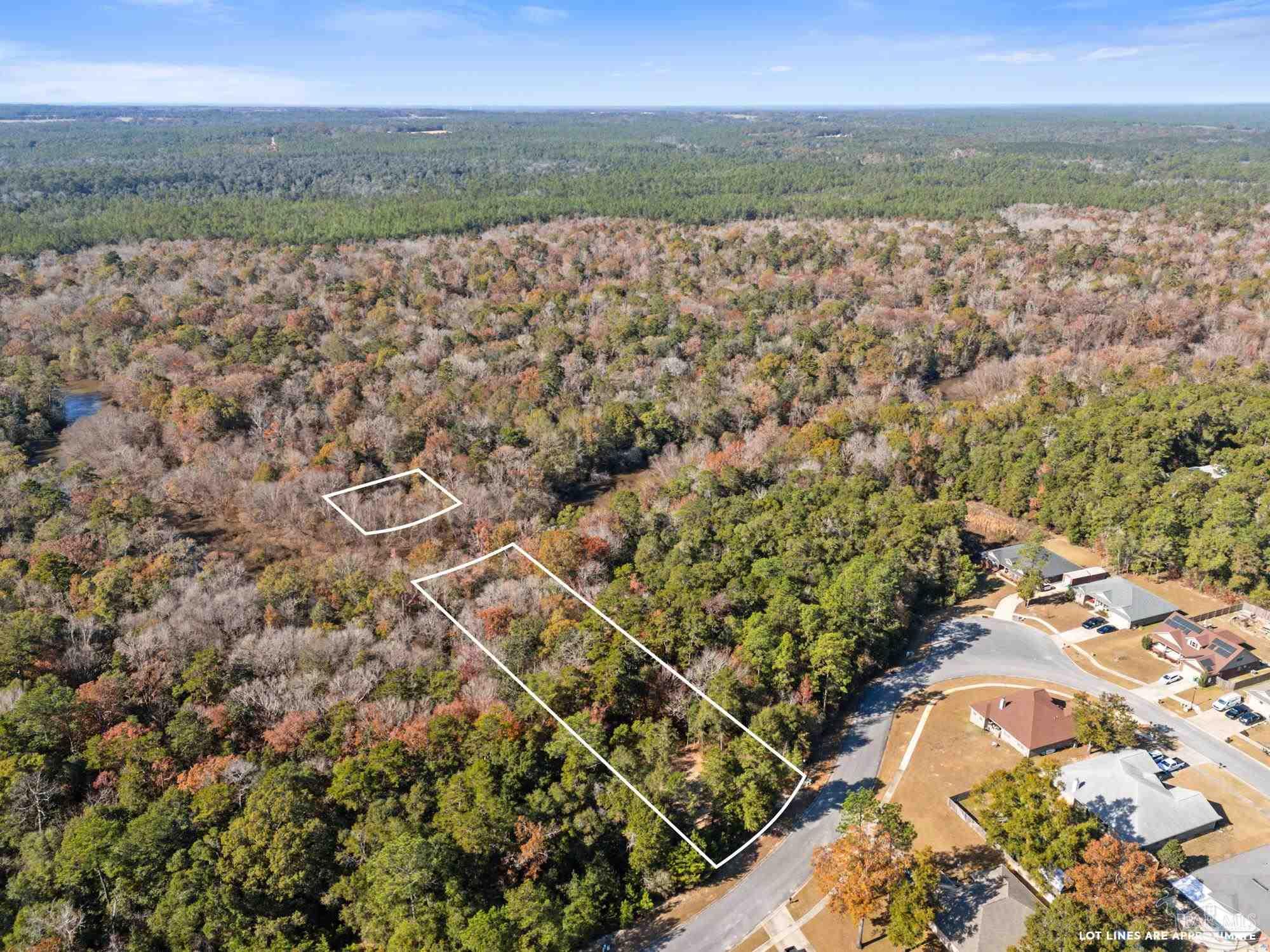 Genevieve Way Crestview, FL 32536 - Photo 13 of 19 a view of lake with mountain
